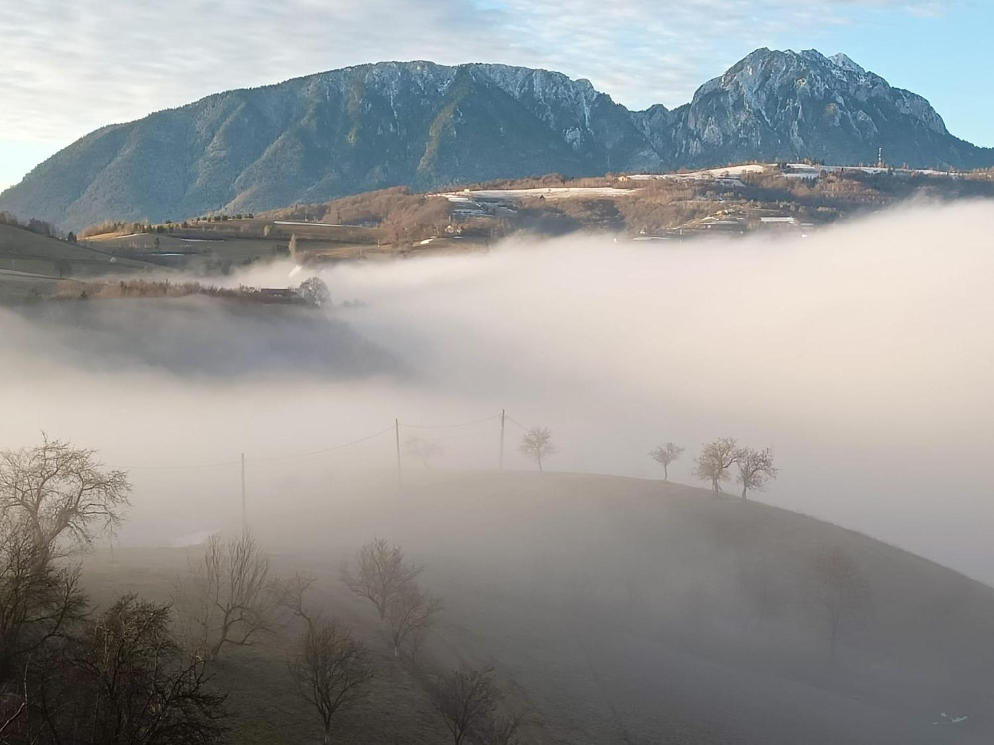 فيلا Casa Din Livada, Poiana Marului, Brasov المظهر الخارجي الصورة